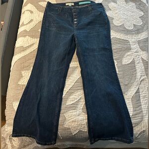 Anthropologie Pilcro Button Fly Jeans